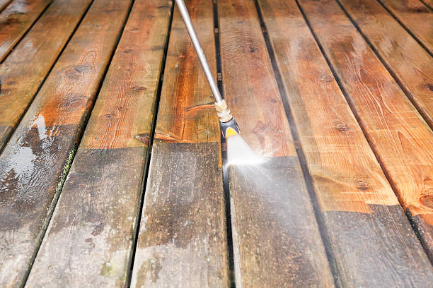 Best Roof Cleaning and Mildew Removal in Ranchester, WY